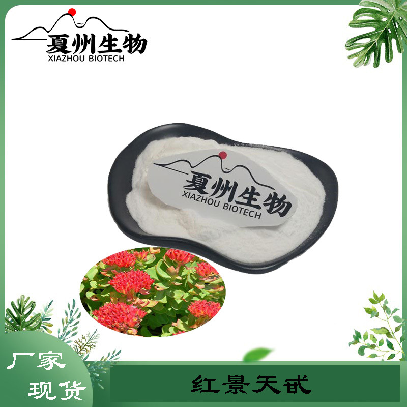 红景天甙98% 红景天苷 红景天提取物  无塑化剂红景天苷 优质粉末