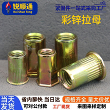 304���P䓲��\���T��ĸ ƽ�A�^�Q�y���T��ñ ���^�L����ĸ M3-M12