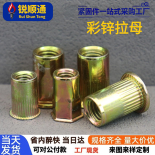 304���P䓲��\���T��ĸ ƽ�A�^�Q�y���T��ñ ���^�L����ĸ M3-M12