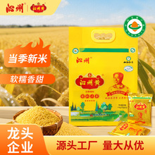 2025������ ɽ�������SС��1.6kg�ЙCС��С�S�������خa��С�ЙC