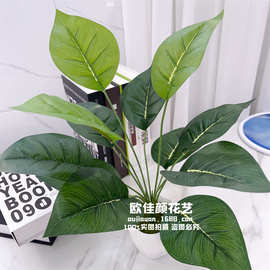 厂家直供仿真花植物12头万年青绿萝鸡心叶绿叶植物绿植墙配材叶子