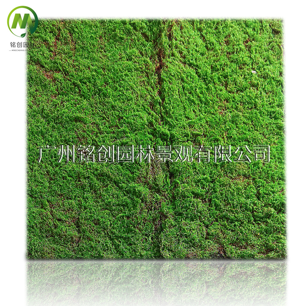 Simulación de decoración de micropaisaje de musgo, césped de musgo falso, musgo filamentoso, plantación verde, simulación de paisajismo, musgo