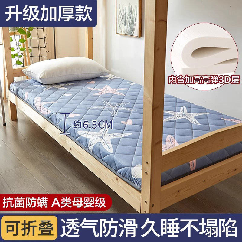 불가사리 [고탄성 3D 항균 및 진드기 방지] 6.5cm