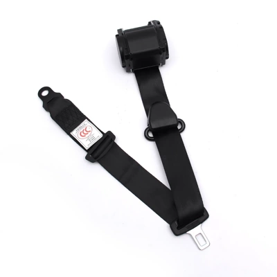 Car Truck Driver and Passenger: Car seat belt