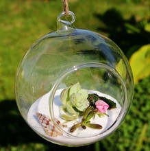 悬挂装饰空心玻璃吊球微景观圆球多肉植物花瓶苔藓生态瓶婚庆挂饰