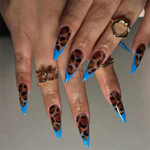 �羳�¿��L���ʹ����׷�ʽ���y�͹��L�r�и������NƬ24Ƭ�b���l