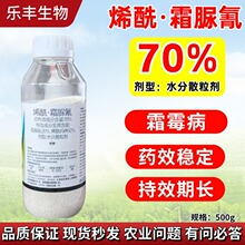 70%ϩ˪˪ùֲ߲߲˹rYrș