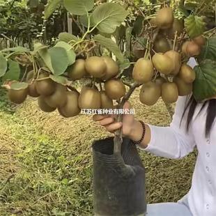 �޽ӫJ������t������ܛ���J��������Ԯ���Y���ϱ����Nֲ������