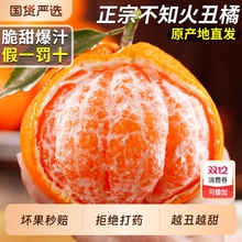 四川知火丑橘应当季新鲜水果高山耙耙丑八怪手剥柑桔子整箱包邮