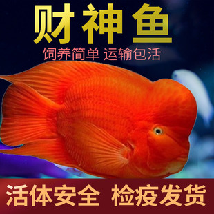 ؔ��Ѫ�W�^�~���w�Ꭷ�^�p�~���^Ԫ��ؔ���~�߶˱��^�lؔ�~��ˮ�~