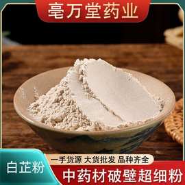白芷粉 粉诚信经营品质保障 规格多样多年经验 价格实惠量大价优