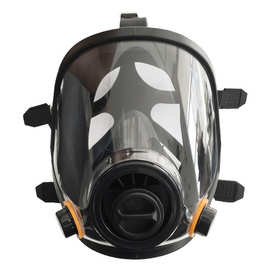 FF-B防毒面罩防甲烷二氧化硫氯气酸性气体化工喷面具套装