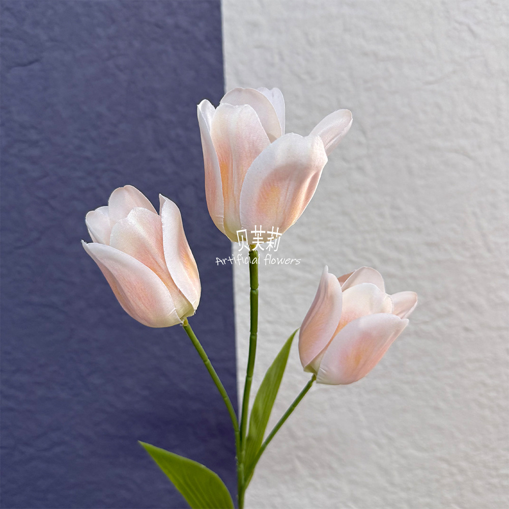 3D 튤립-라이트 핑크