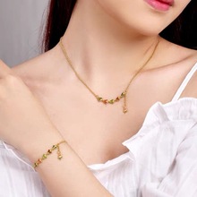 5D�o���S���������朗l999��������ӿ�DIY�������D�\�S����