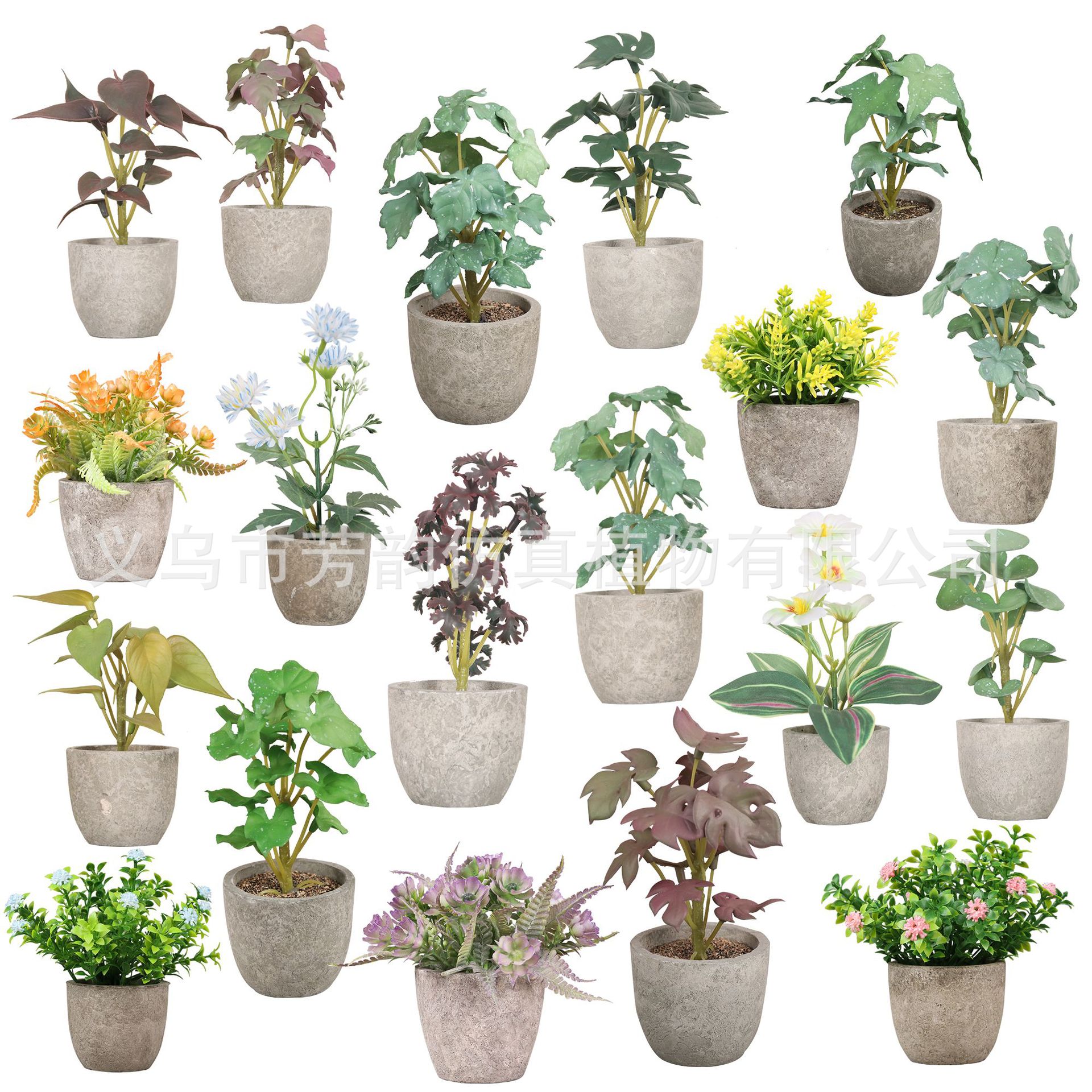 Mini Planta Artificial en Maceta de Pulpa de Plástico para Decoración del Hogar y Escritorio image 5