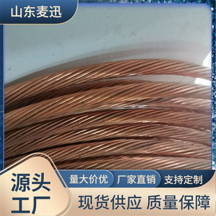 �~��䓽g����~�g�����׽ӵ�ĸ�� �~����~䓽g��4mm2 �~��䓽g��