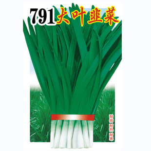 ��ꖹ������߲˷N�Ӵ��~�²˷N���β��Ο��κ�������@�̨����