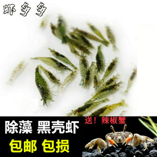 �ښ��r�~��ˮ���坍���幤�߳����^�p���r������w��ϵ�ˮ���쾰