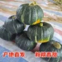 宝宝营养正宗丰富小果