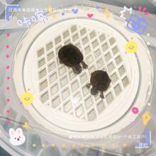 ������lɫ�����ב����B���������^�VСˮͰ���w��B������������