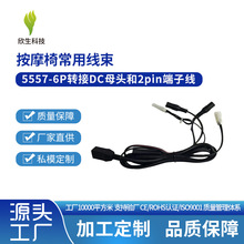 5557-6P�D��DCĸ�^2pin���Ӿ���о�ɶ��Ƴߴ簴Ħ�γ��þ�������