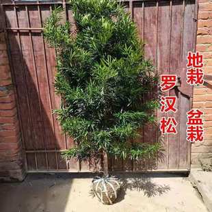 �_�h�ɘ������С�~ȸ���e��ͥԺ���������ͺ��Gֲ��������͘�