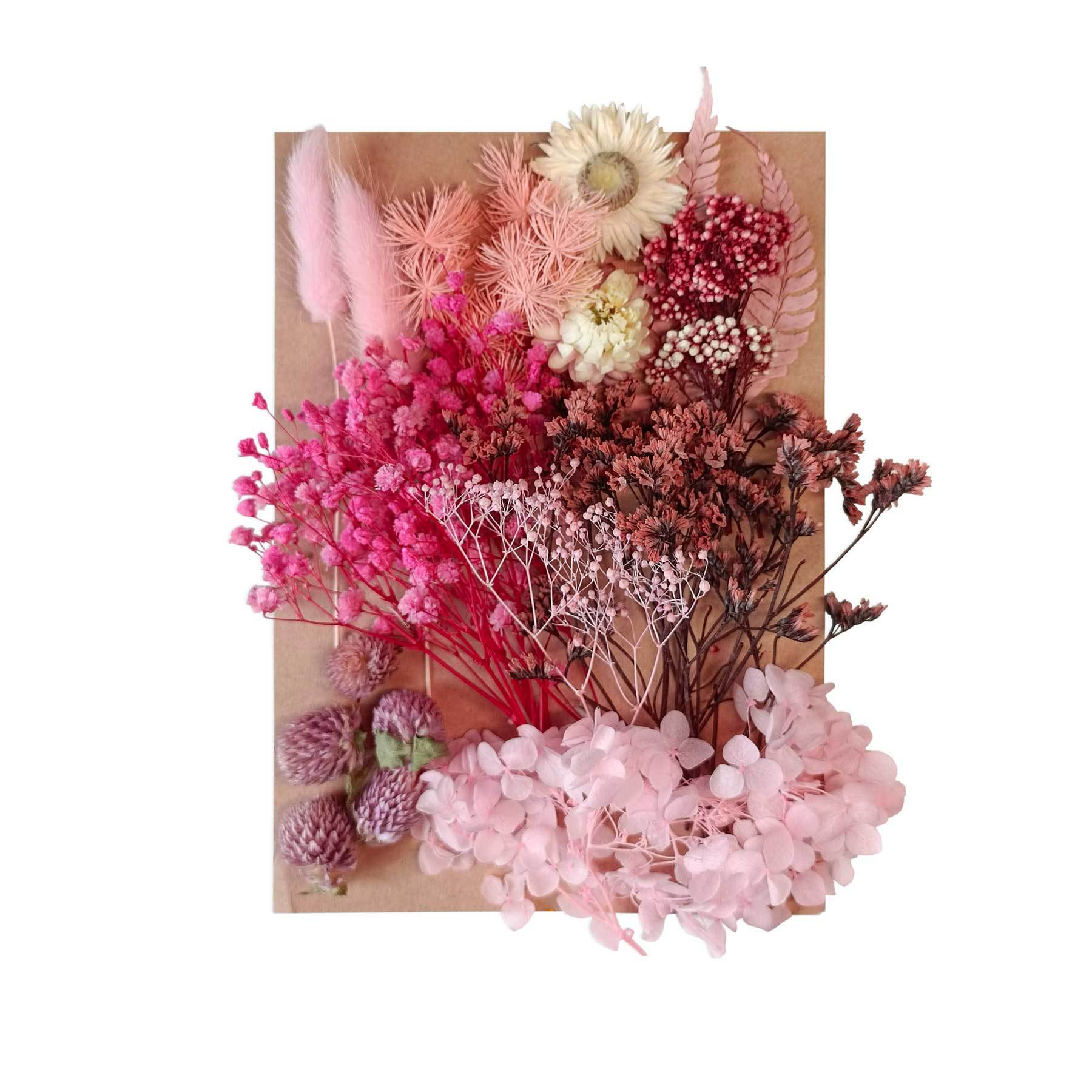 Flor seca flor eterna marco de fotos en relieve paquete de material combinación paquete de flores aromaterapia ventilador A5 bolsa de fábrica al por mayor transfronteriza