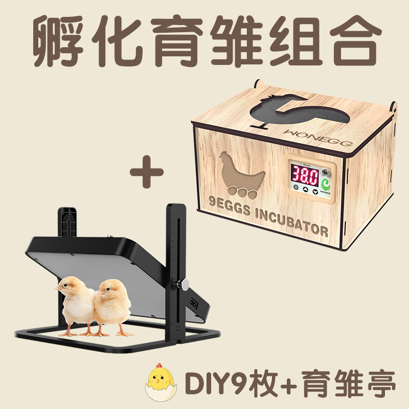 新型国境を越えたアマゾン全自動小型知能電気家庭用鶏鴨ガチョウ恒温孵化器孵化器|undefined