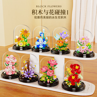 ���1170-2338����ϵ�п���ܰõ�厧͸���ֹ��նY��ƴ�b�eľ���