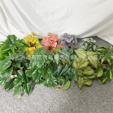 ����GֲС�辰�����~�ٻ�����G�}�~���������~�Ƶ��bع��~