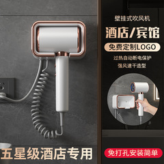 Hotel Supplies Wall-Mounted Screwless Home Use Negative Ion High Power Constant Temperature Hair Dryer