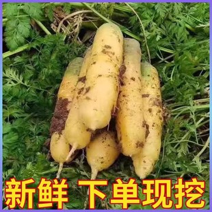 �S�}���������r�S�}�����}����ץ��S���}��ֱ�l�F�ڬF�l