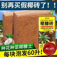 Ҭ�u�I�B��ͨ����Ó�}�N���Gֲ�������ԉ��sҬ���u�������ݰl��K