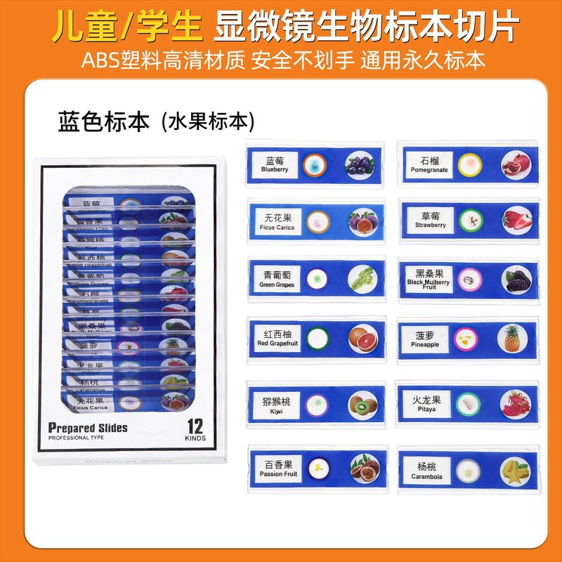 ドロップシッピング子供の顕微鏡標本動物と植物昆虫バイオプラスチックスライス科学実験おもちゃアクセサリー|undefined