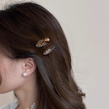 һ���b���s���y�ɿ���ɫ�l�A��ɫ����߼��Еr������A��߅�A�l�