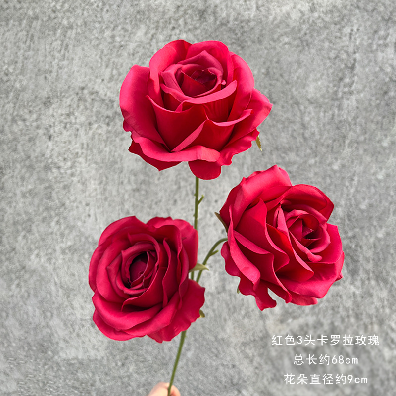 빨간색 3송이 카롤라 장미