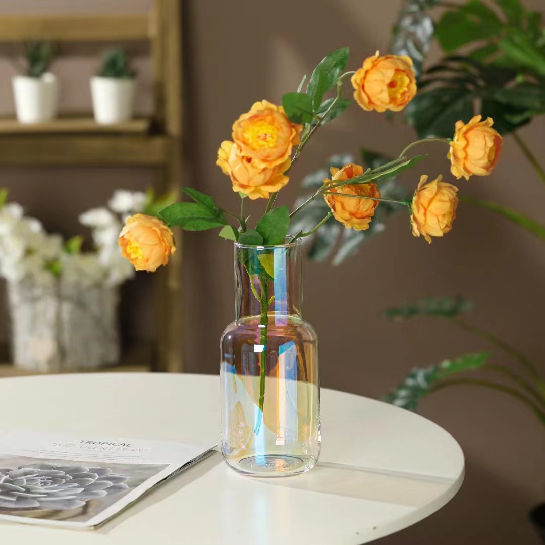 Ins Nordic Glitter Rainbow Glass Vase Transparent Glass Flower Arrangement Hydroponic Flower Pot Decorative Vase Living Room Desktop Ornament