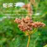 ��Ӧ�ߴ��Ӵ�¶ ֲ��������ȡ ��¶���� ��ӭ��ѯ��ⱸ��������