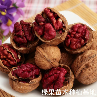 �t�ʺ��Ҙ��� �tƤ������ ��������t���� ��Ƥ���Ҙ��箔��Y��