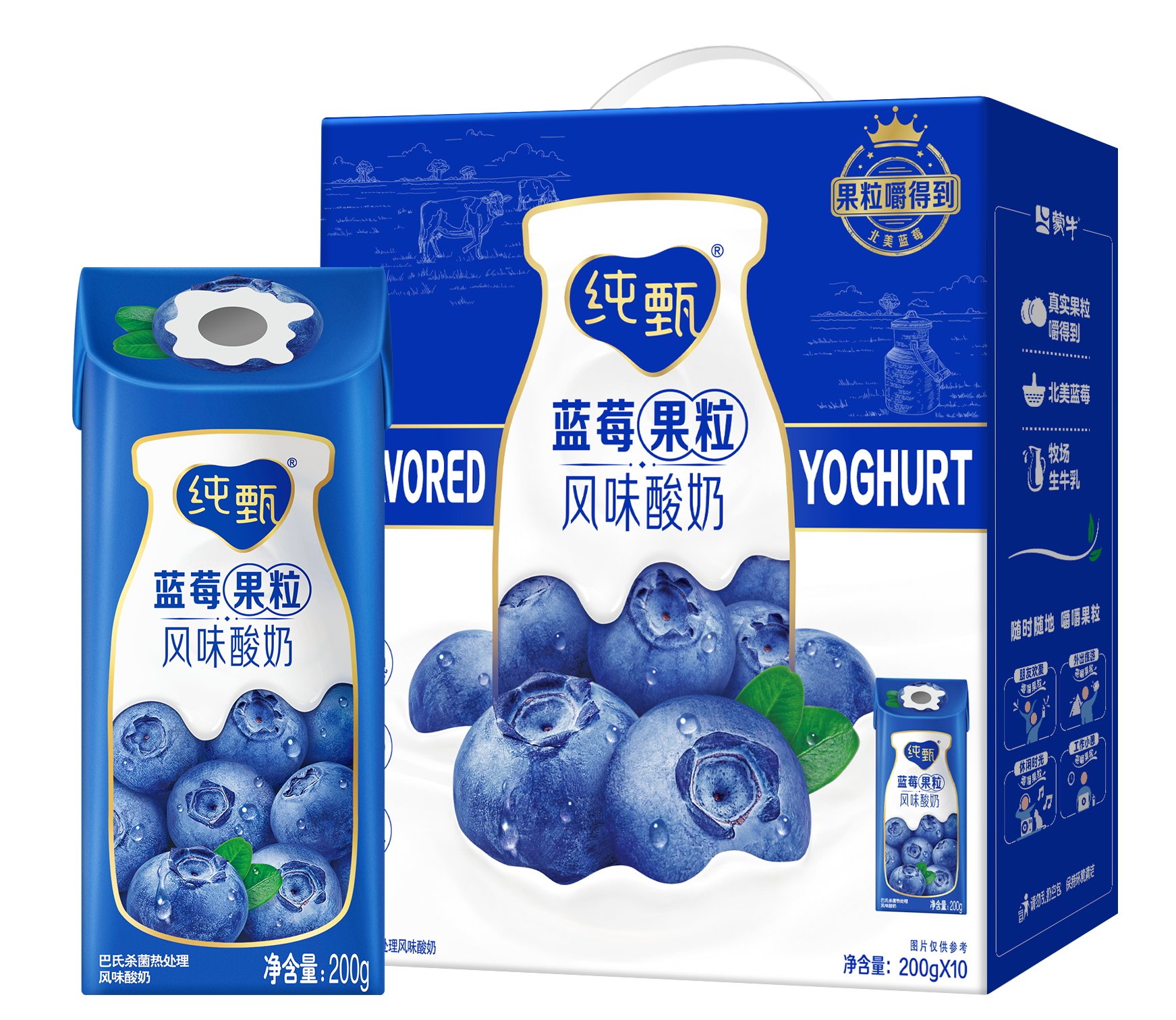 퓨어블루베리맛요거트 200g×10팩