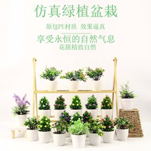 仿真植物创意装饰盆栽客厅卧室摆件玄关装饰仿真盆栽仿真花