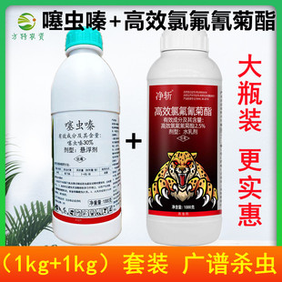 ���xຸ�Ч�ȷ���������b���ٹ������x�E�Rʳ���x���x���x��2kg