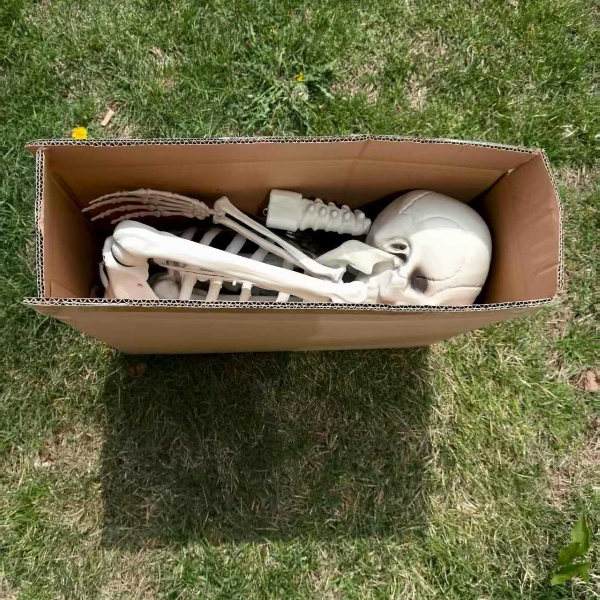 Nuevos productos de Halloween 170 esqueleto grande esqueleto ensamblaje pequeño paquete de comercio electrónico transfronterizo Amazon explosión sentarse colgar fantasma hombre