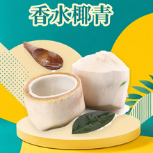 ̩����ˮҬ�� ���l4-5/7-10/5/10�����_Ҭ������ȫ��Ҭ�����rˮ��