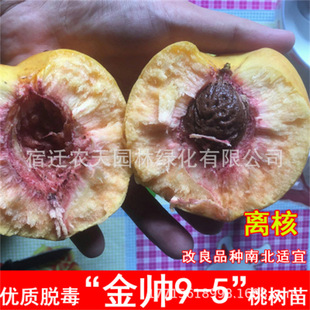 Ѫ�Ҙ����޽Ӽt��Ѫ��������������ɰ�t�Ҙ��������Ϸ�ͥԺ�Nֲ