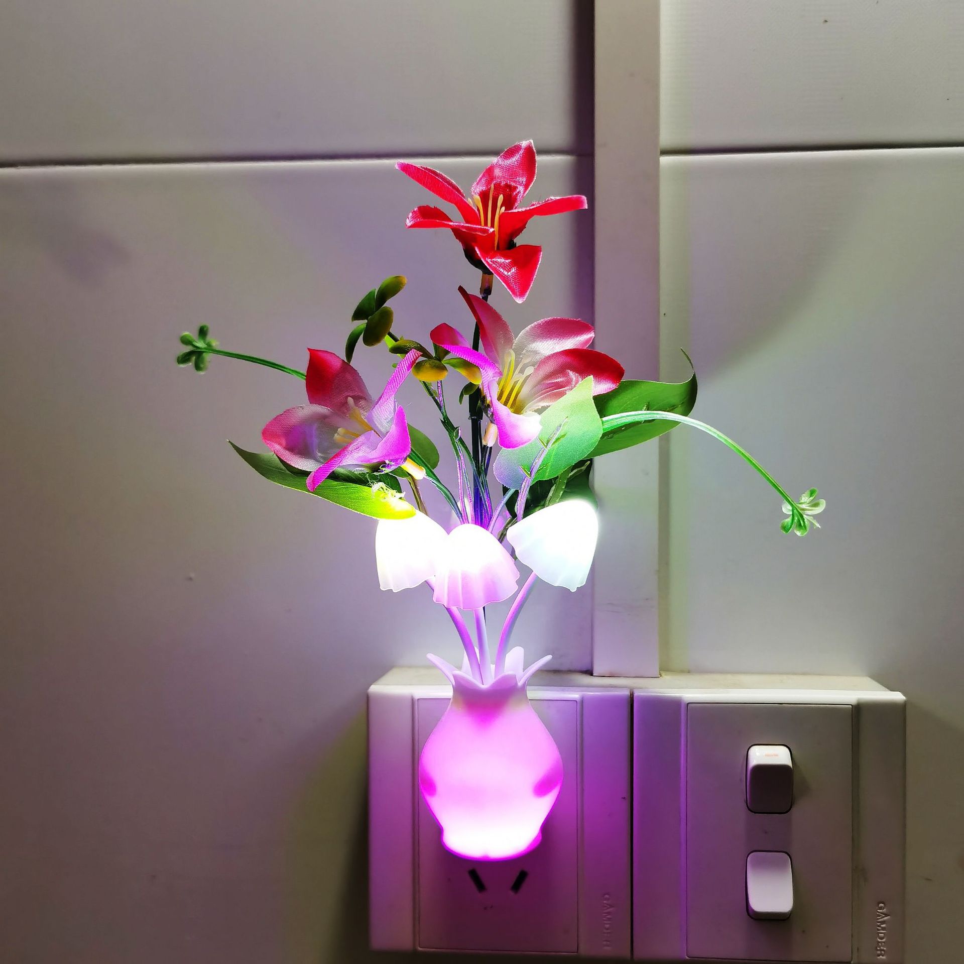 898c72e70e6c9e654901a9638f695f