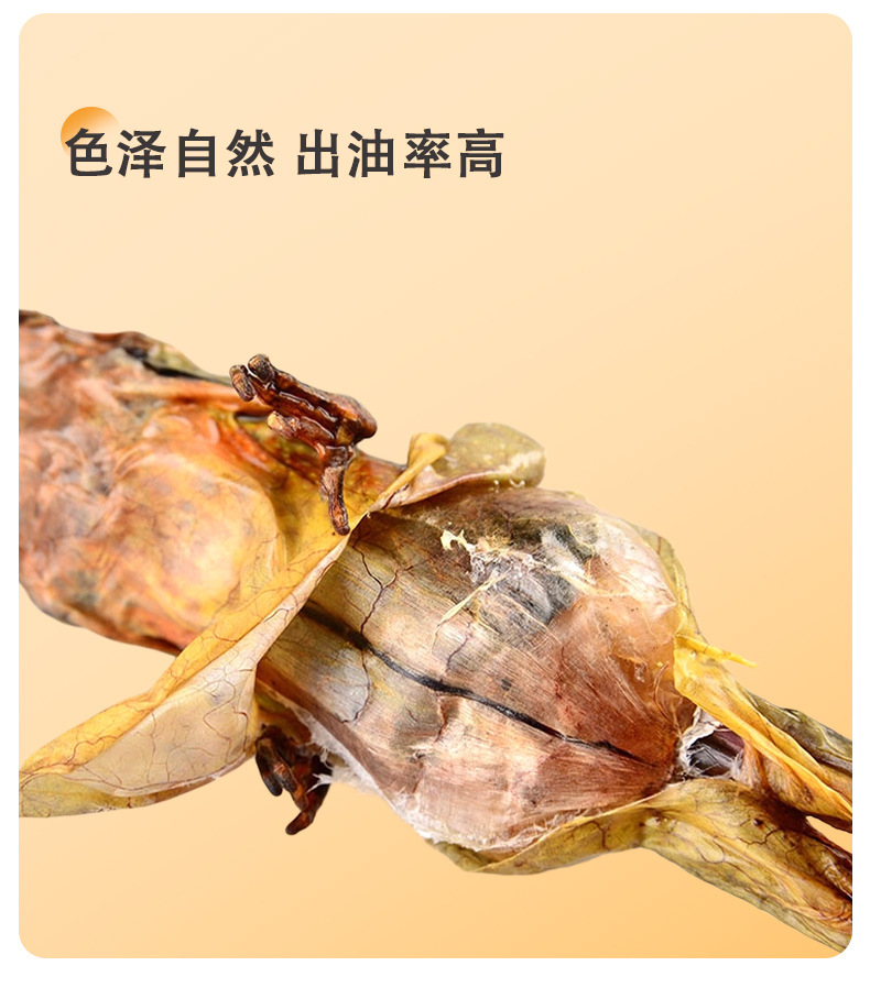Dried Snow Frog Whole Rana Dried Chinese Forest Frog Traditional TCM Ingredient for Soup and Decoction in use