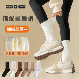 配鲨鱼裤的袜子女秋冬季中筒袜加绒加厚运动白色堆堆长袜女冬款