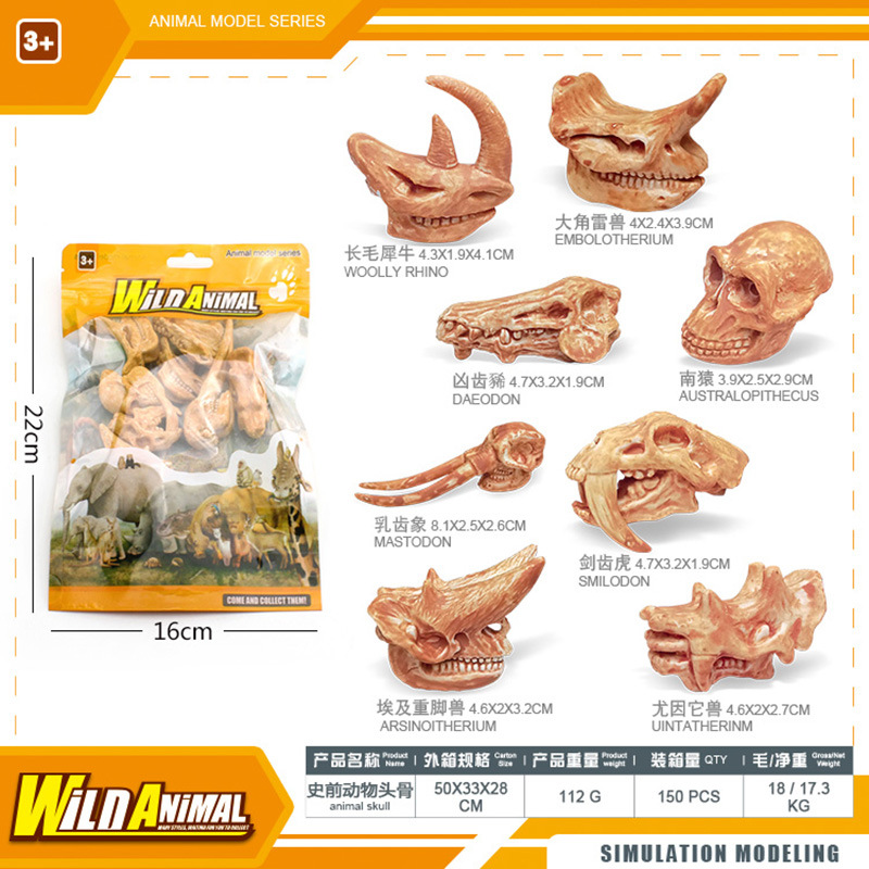 BL - 1013D Cráneo de animal prehistórico 112g