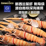 原装进口新西兰鳌虾南极深海海螯虾斯干比Scampi日料刺身1/2/3号